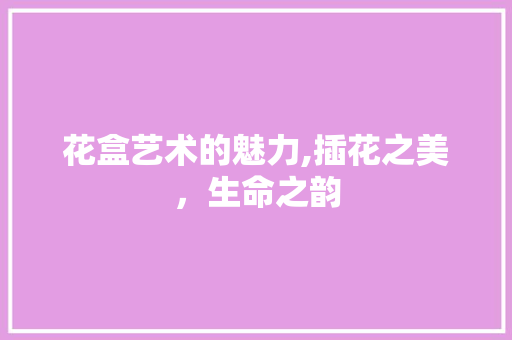 花盒艺术的魅力,插花之美，生命之韵