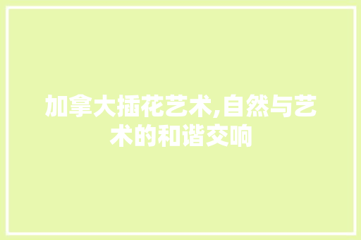 加拿大插花艺术,自然与艺术的和谐交响