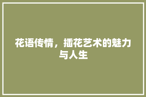 花语传情，插花艺术的魅力与人生