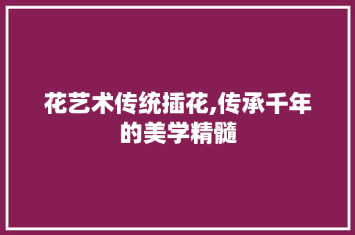 花艺术传统插花,传承千年的美学精髓