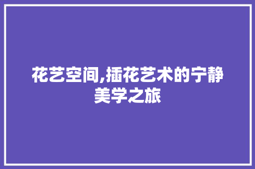 花艺空间,插花艺术的宁静美学之旅