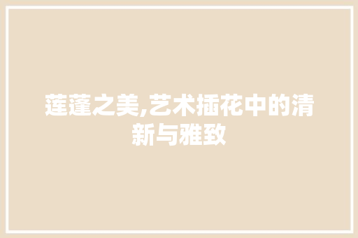 莲蓬之美,艺术插花中的清新与雅致