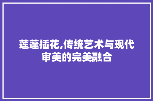莲蓬插花,传统艺术与现代审美的完美融合