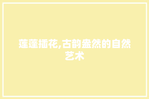 莲蓬插花,古韵盎然的自然艺术