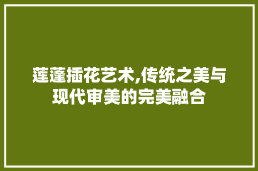 莲蓬插花艺术,传统之美与现代审美的完美融合