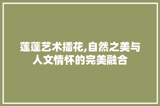 莲蓬艺术插花,自然之美与人文情怀的完美融合