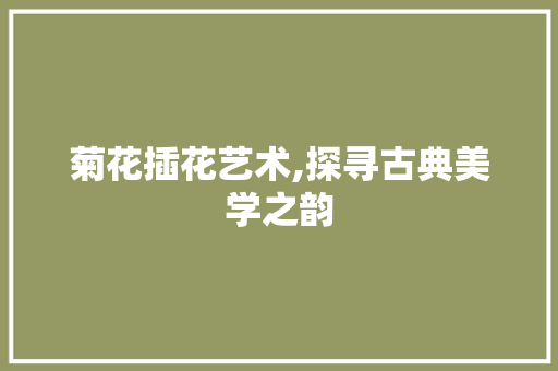 菊花插花艺术,探寻古典美学之韵