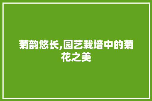 菊韵悠长,园艺栽培中的菊花之美