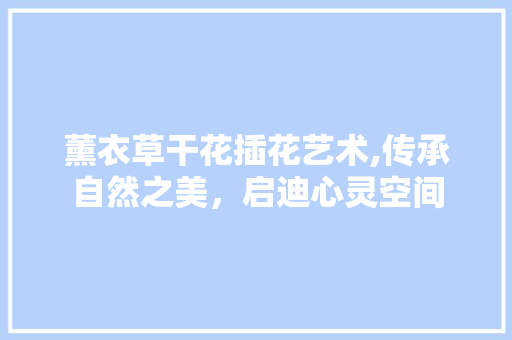 薰衣草干花插花艺术,传承自然之美，启迪心灵空间