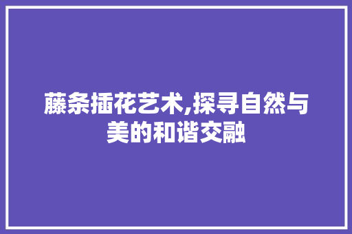藤条插花艺术,探寻自然与美的和谐交融