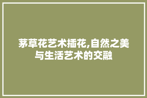 茅草花艺术插花,自然之美与生活艺术的交融