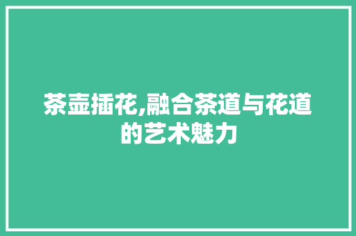 茶壶插花,融合茶道与花道的艺术魅力