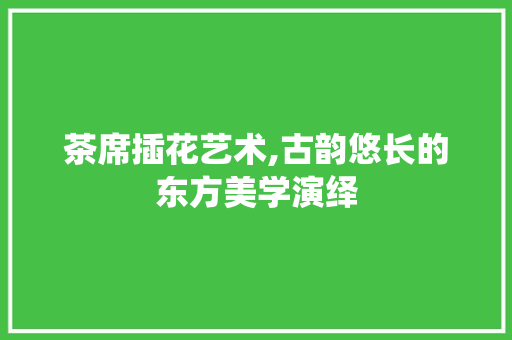 茶席插花艺术,古韵悠长的东方美学演绎