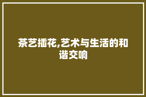 茶艺插花,艺术与生活的和谐交响
