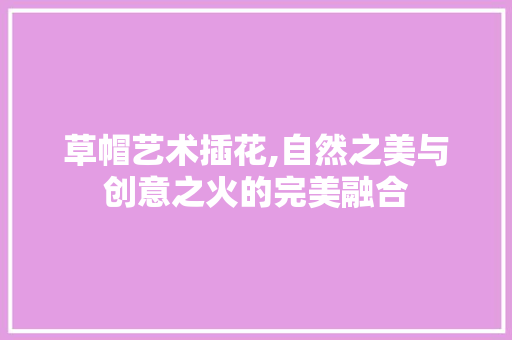 草帽艺术插花,自然之美与创意之火的完美融合