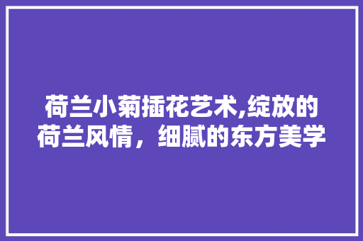 荷兰小菊插花艺术,绽放的荷兰风情，细腻的东方美学