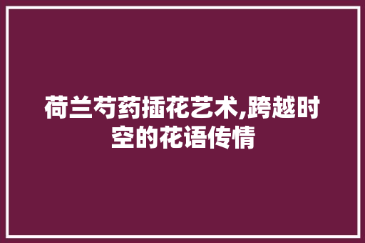 荷兰芍药插花艺术,跨越时空的花语传情