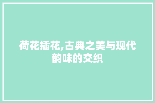 荷花插花,古典之美与现代韵味的交织