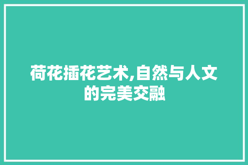 荷花插花艺术,自然与人文的完美交融