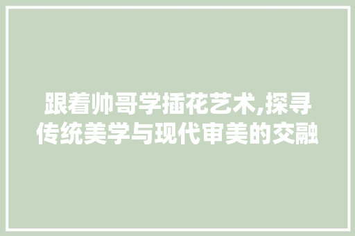 跟着帅哥学插花艺术,探寻传统美学与现代审美的交融之路