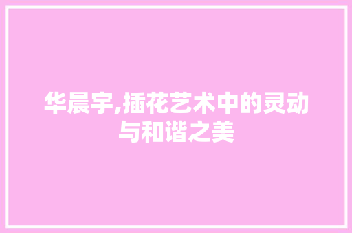 华晨宇,插花艺术中的灵动与和谐之美