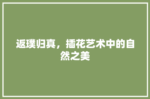 返璞归真，插花艺术中的自然之美