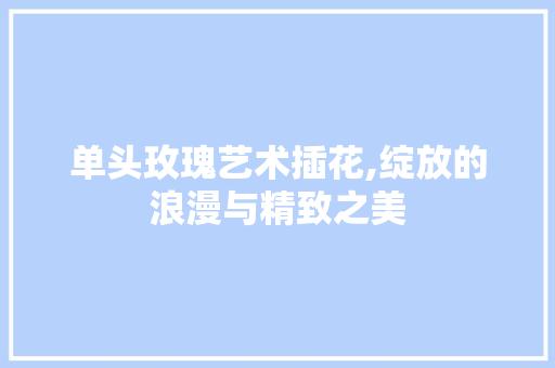 单头玫瑰艺术插花,绽放的浪漫与精致之美