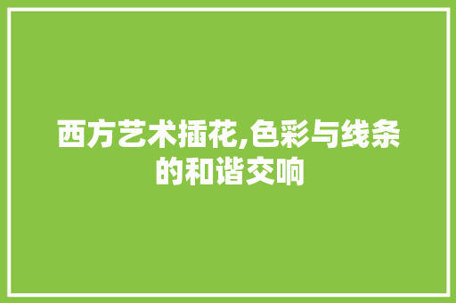 西方艺术插花,色彩与线条的和谐交响