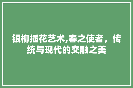银柳插花艺术,春之使者，传统与现代的交融之美