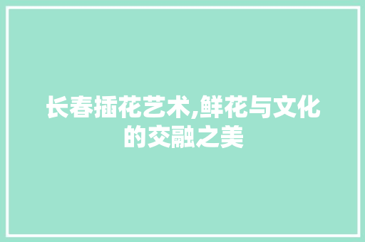 长春插花艺术,鲜花与文化的交融之美