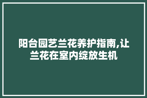 阳台园艺兰花养护指南,让兰花在室内绽放生机