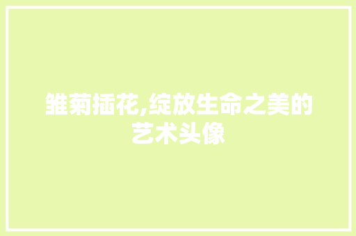 雏菊插花,绽放生命之美的艺术头像