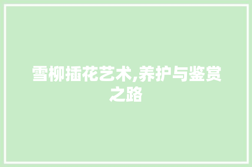 雪柳插花艺术,养护与鉴赏之路