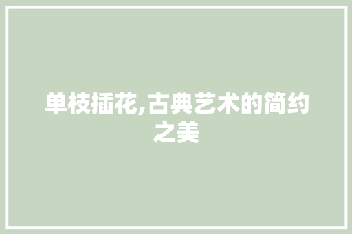 单枝插花,古典艺术的简约之美