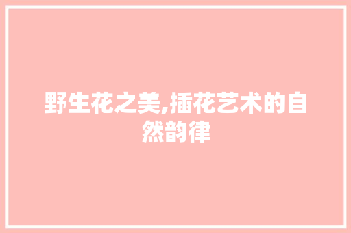 野生花之美,插花艺术的自然韵律