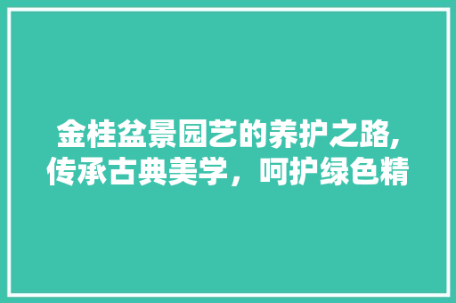 金桂盆景园艺的养护之路,传承古典美学，呵护绿色精灵