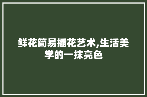 鲜花简易插花艺术,生活美学的一抹亮色