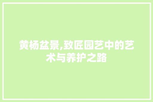 黄杨盆景,致匠园艺中的艺术与养护之路