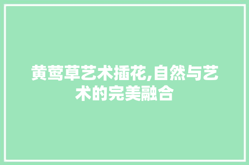 黄莺草艺术插花,自然与艺术的完美融合