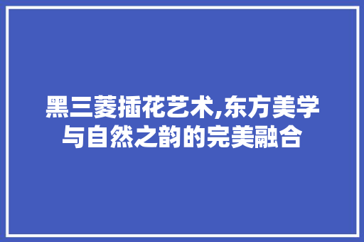 黑三菱插花艺术,东方美学与自然之韵的完美融合