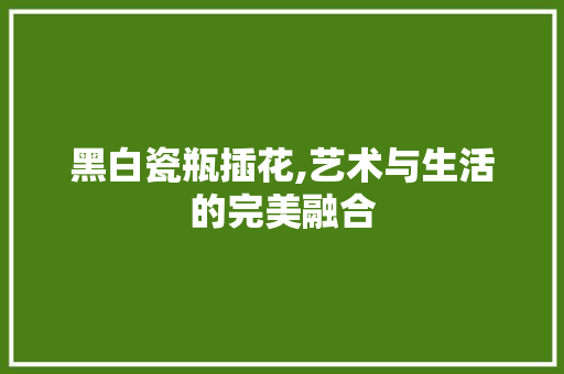 黑白瓷瓶插花,艺术与生活的完美融合