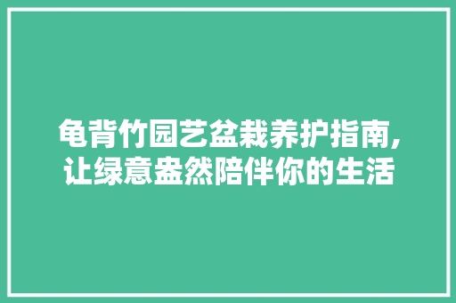 龟背竹园艺盆栽养护指南,让绿意盎然陪伴你的生活