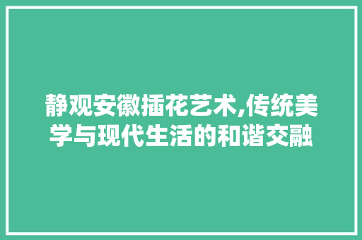 静观安徽插花艺术,传统美学与现代生活的和谐交融