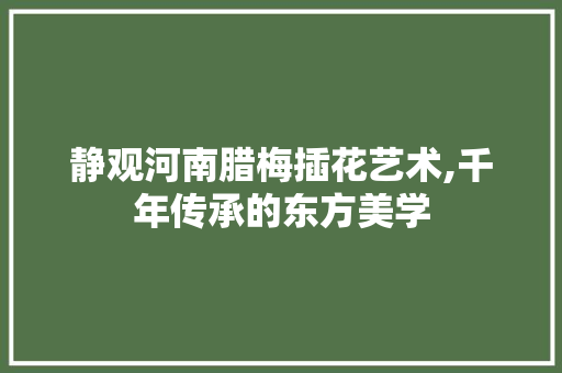 静观河南腊梅插花艺术,千年传承的东方美学