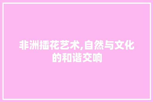 非洲插花艺术,自然与文化的和谐交响
