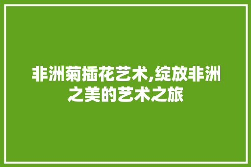 非洲菊插花艺术,绽放非洲之美的艺术之旅