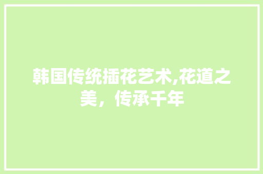 韩国传统插花艺术,花道之美，传承千年