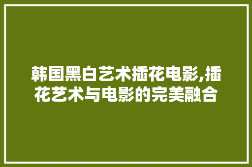韩国黑白艺术插花电影,插花艺术与电影的完美融合
