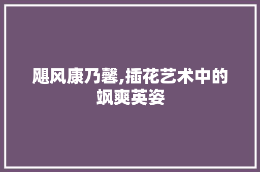 飓风康乃馨,插花艺术中的飒爽英姿