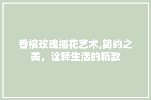 香槟玫瑰插花艺术,简约之美，诠释生活的精致